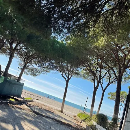 Arol Apartment, Appartamento