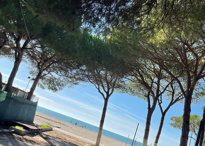 Arol Apartment, Daire