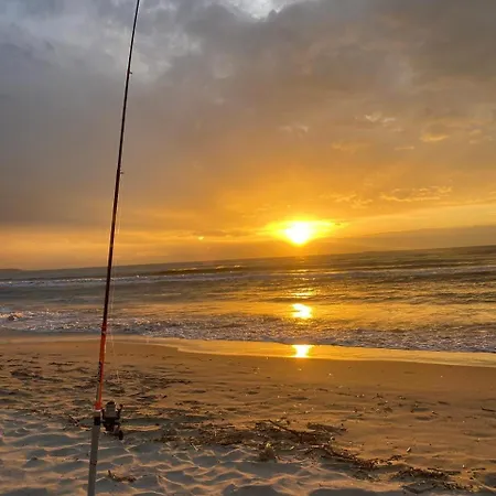 Arol Apartment, Apartmán