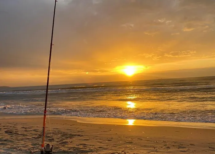 Arol Apartment, Apartmán